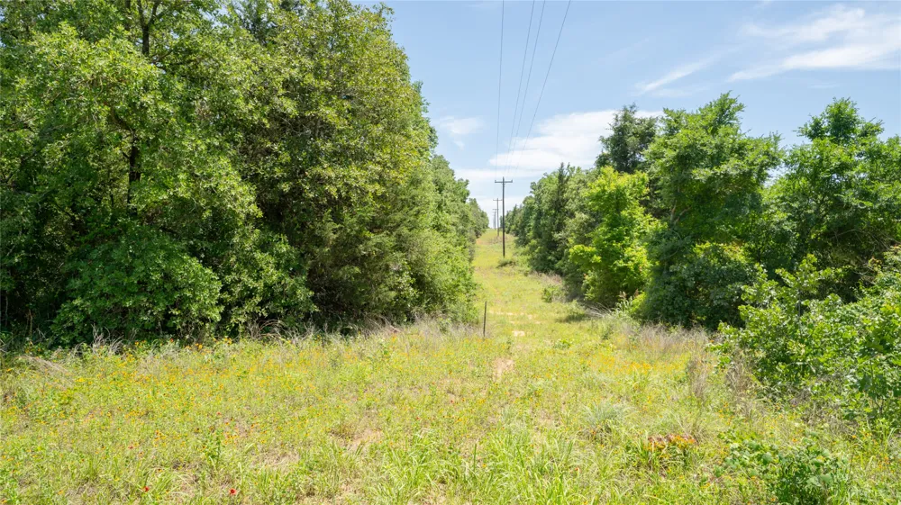 CR 330 Milano, TX 76556