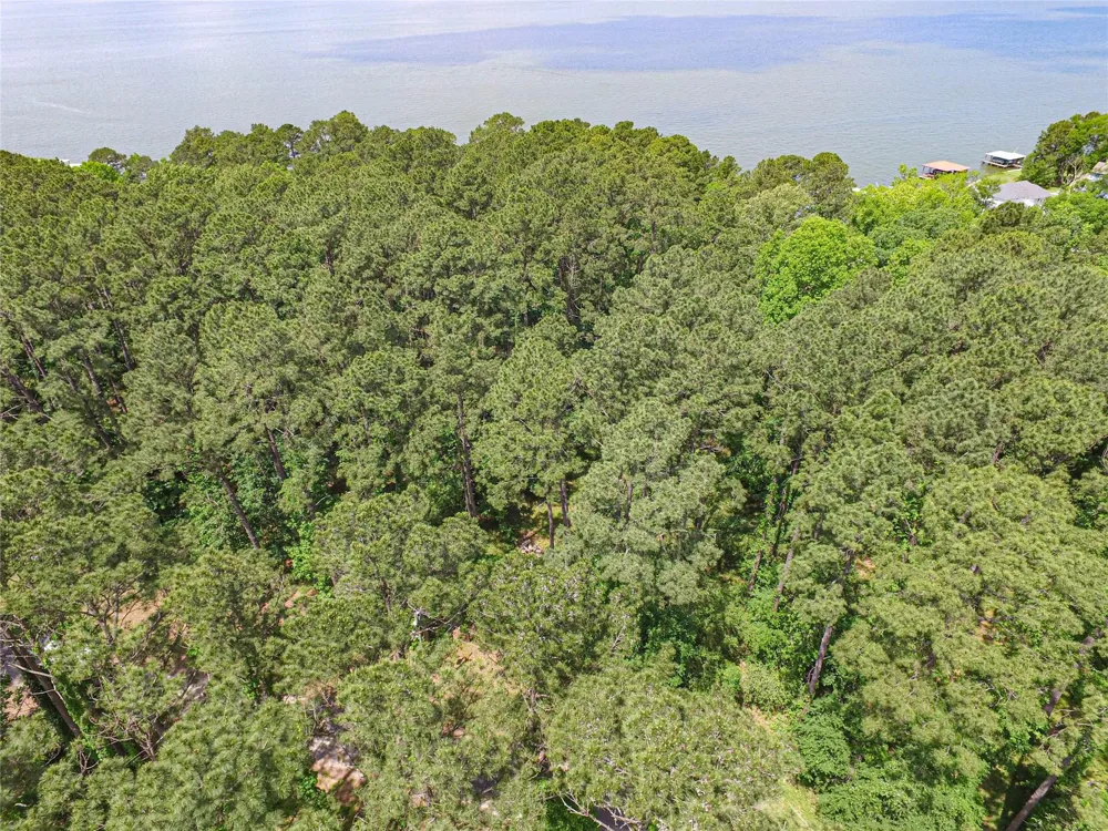 Grand Pines West Livingston, TX 77351