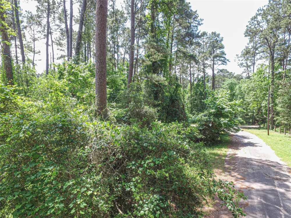 Grand Pines West Livingston, TX 77351