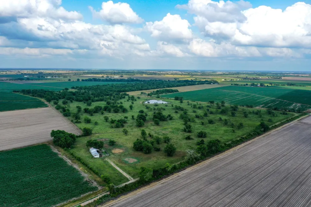 Koym Road Beasley, TX 77417