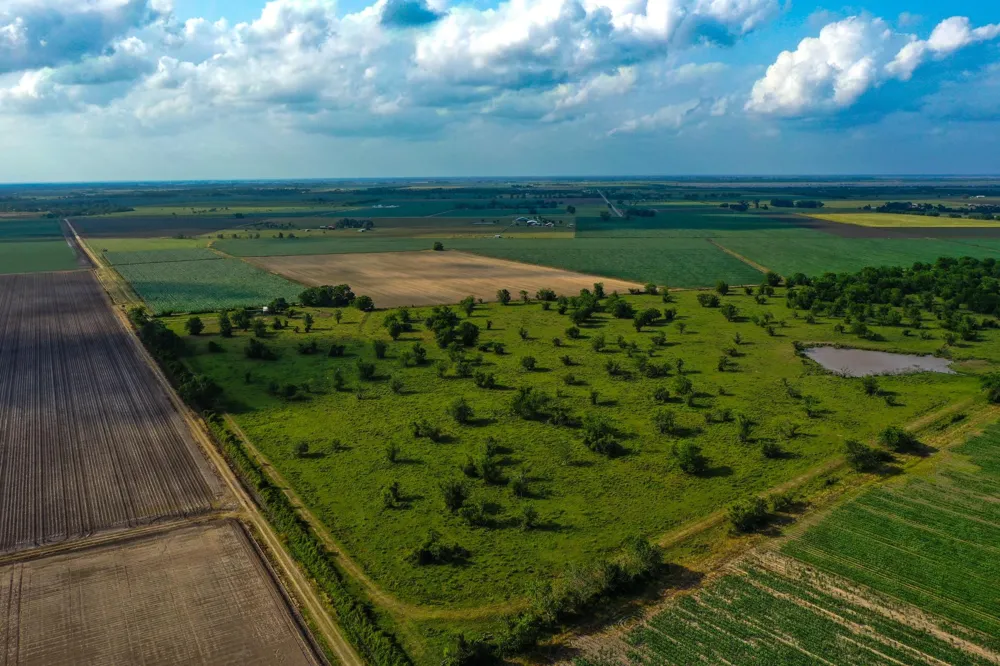 Koym Road Beasley, TX 77417