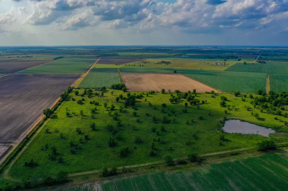 Koym Road Beasley, TX 77417
