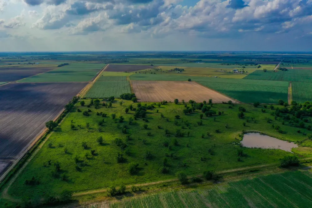 Koym Road Beasley, TX 77417