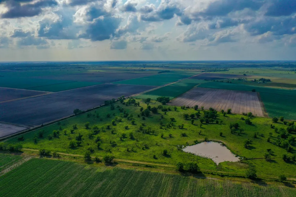 Koym Road Beasley, TX 77417