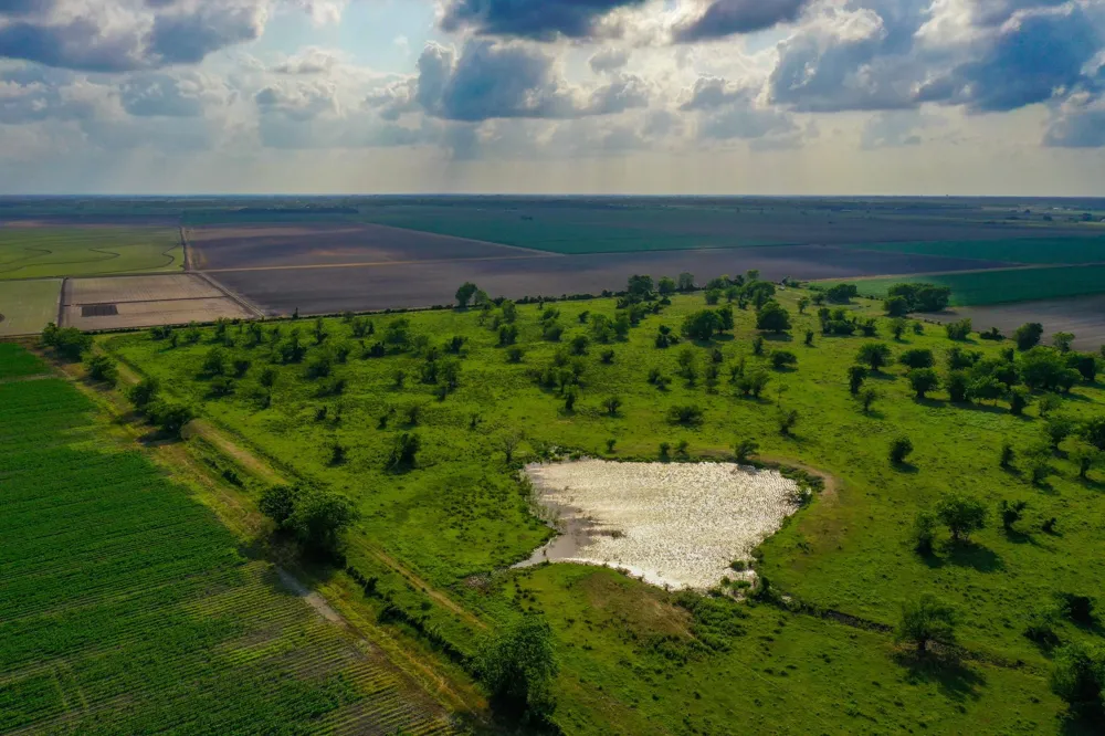Koym Road Beasley, TX 77417