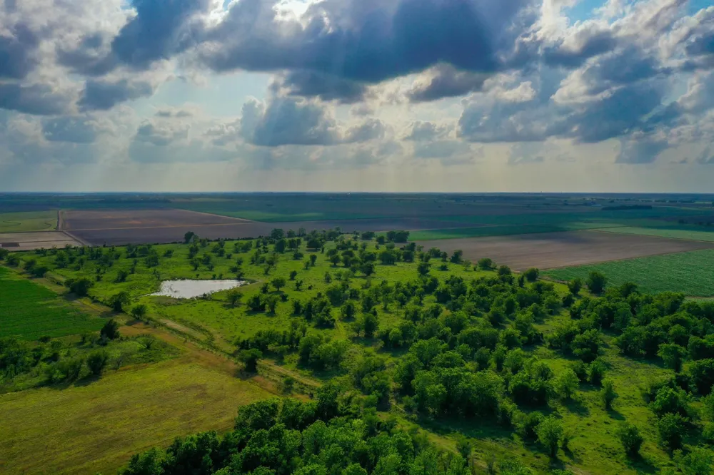 Koym Road Beasley, TX 77417