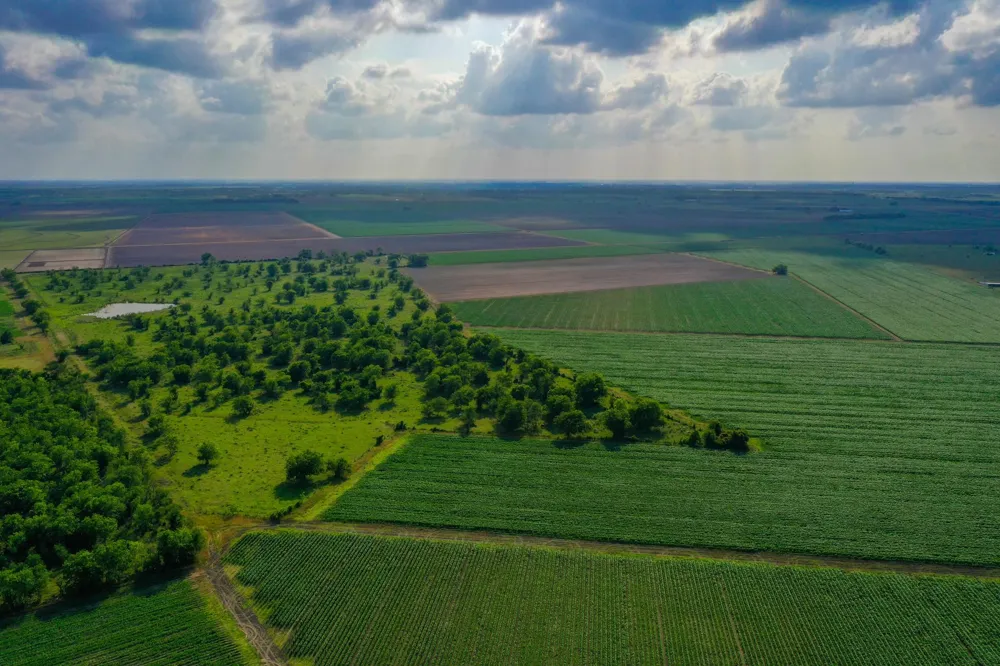 Koym Road Beasley, TX 77417
