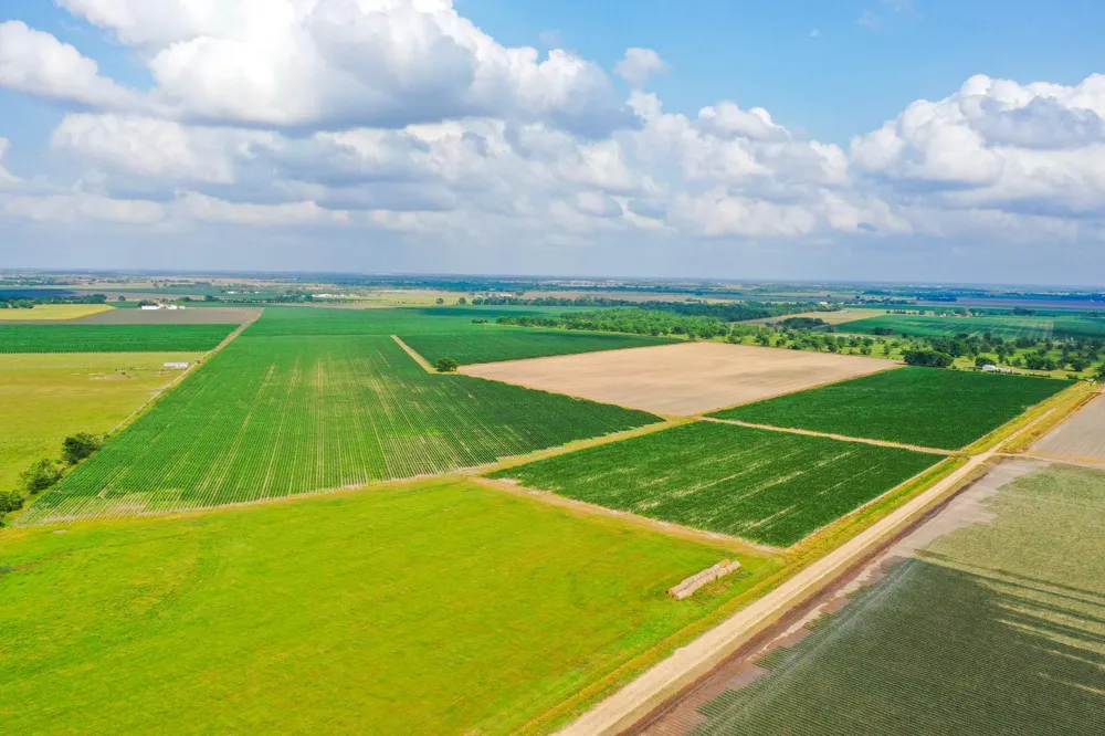Koym Road Beasley, TX 77417