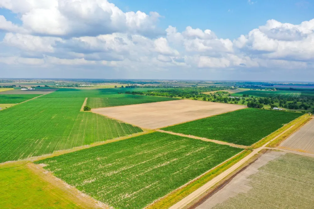 Koym Road Beasley, TX 77417