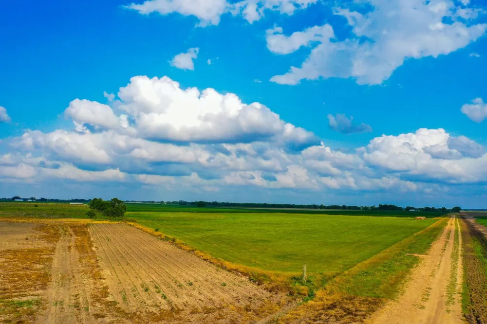 Koym Road Beasley, TX 77417