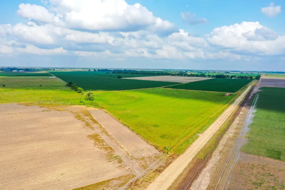 Koym Road Beasley, TX 77417