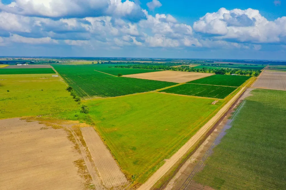 Koym Road Beasley, TX 77417