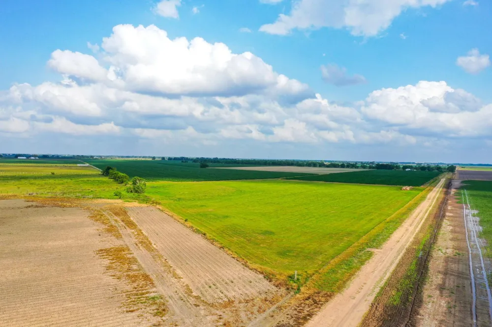 Koym Road Beasley, TX 77417