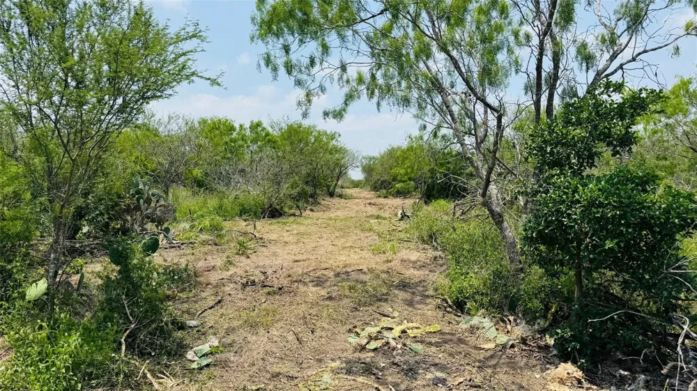 2 Ridgeway Lane Beeville, TX 78102