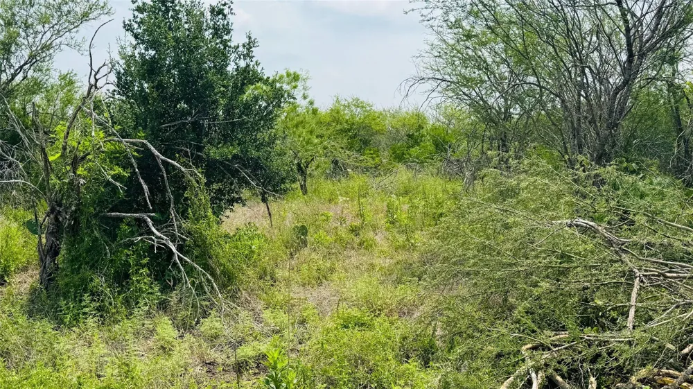 1 Fm 888 Beeville, TX 78102
