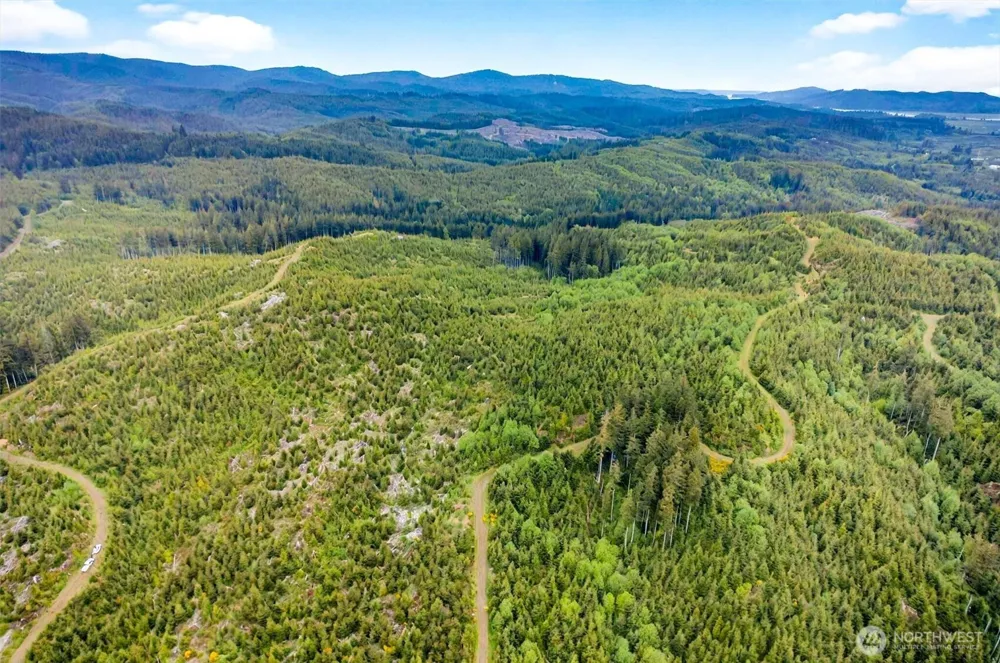 1 Parpala Road #1 Naselle, WA 98638