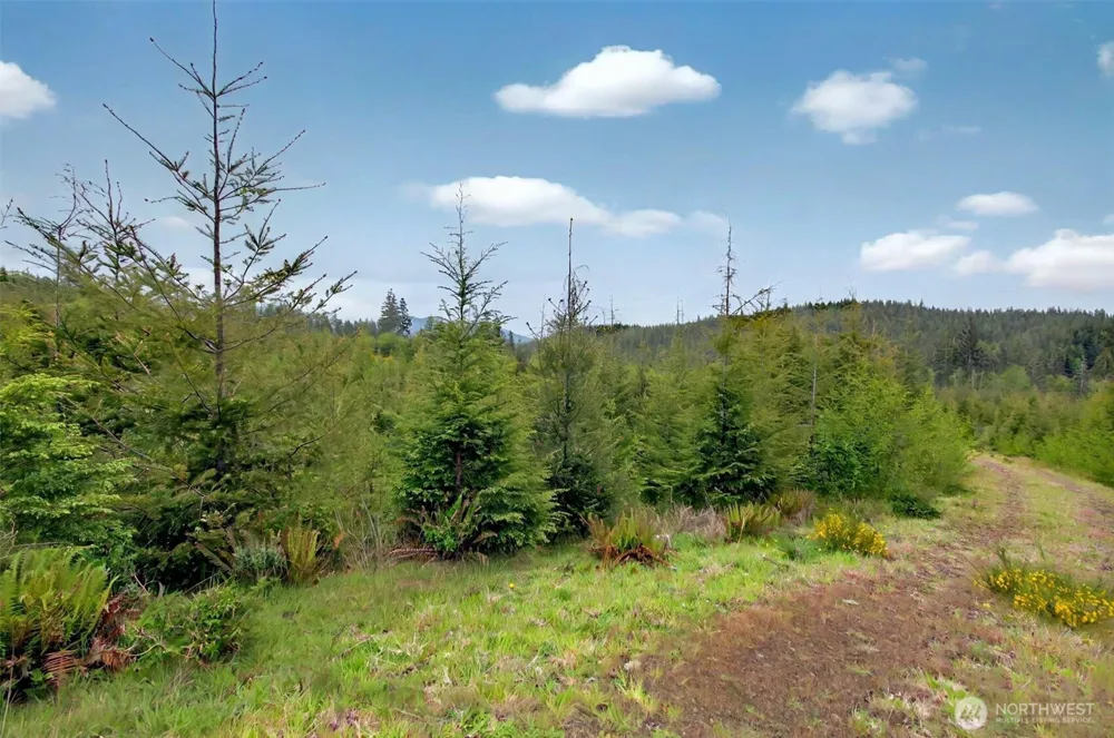 1 Parpala Road #1 Naselle, WA 98638