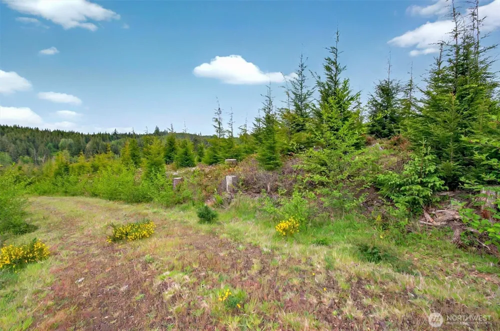 1 Parpala Road #1 Naselle, WA 98638
