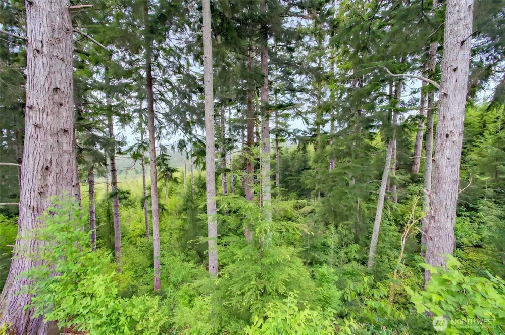 1 Parpala Road #1 Naselle, WA 98638