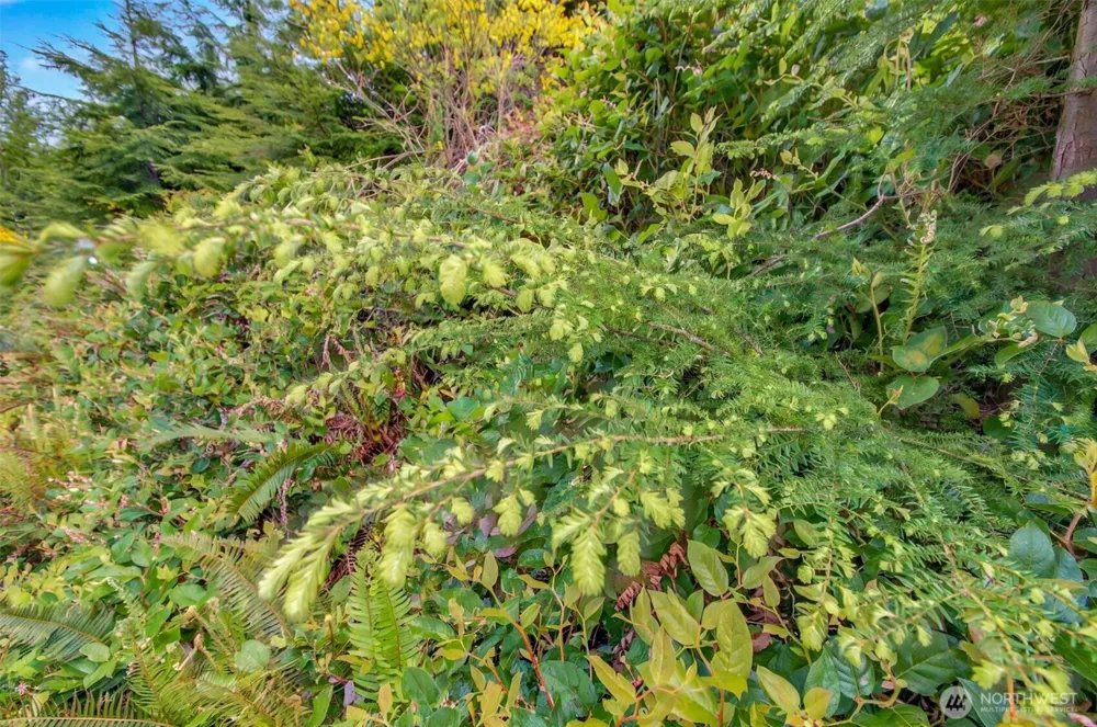 1 Parpala Road #1 Naselle, WA 98638