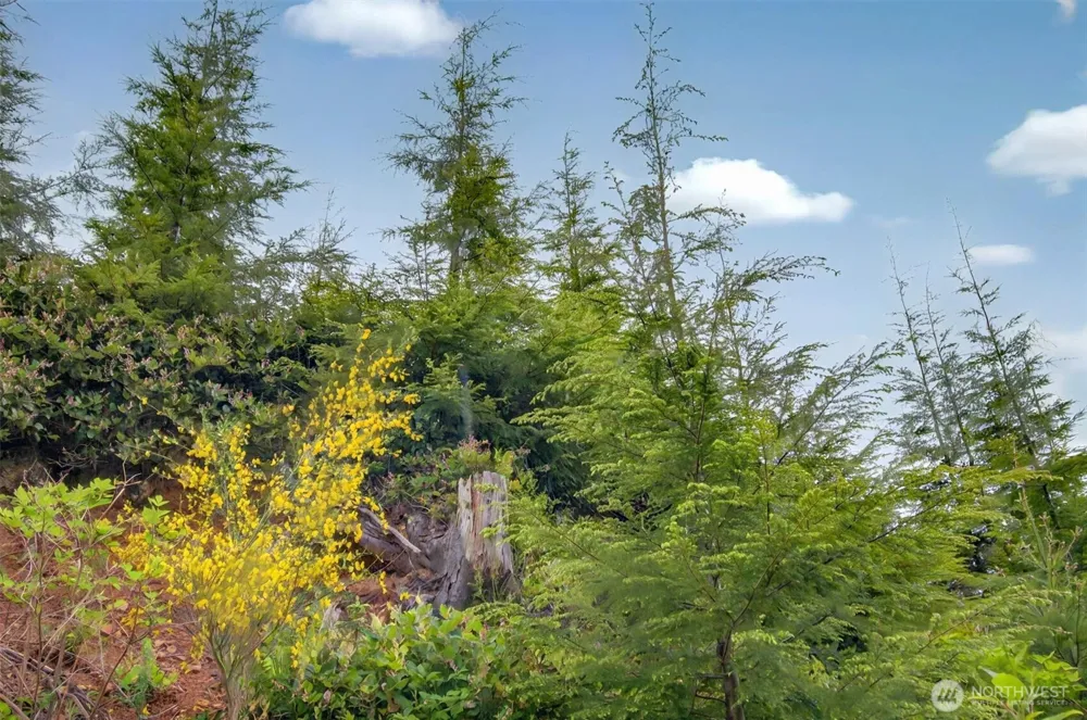 1 Parpala Road #1 Naselle, WA 98638