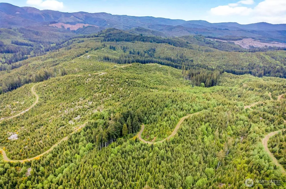 1 Parpala Road #1 Naselle, WA 98638