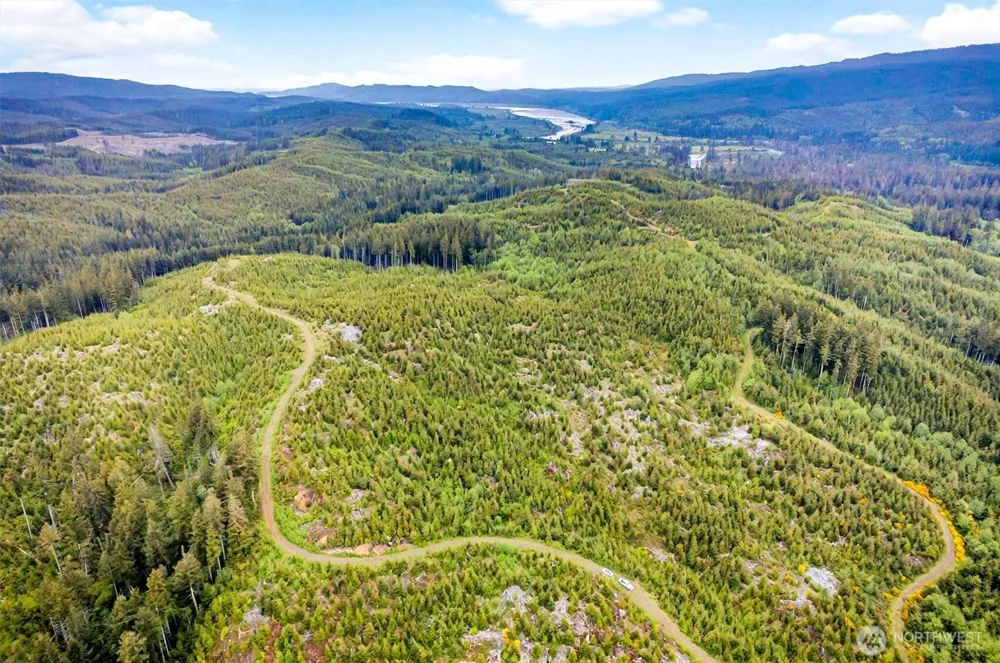 1 Parpala Road #1 Naselle, WA 98638