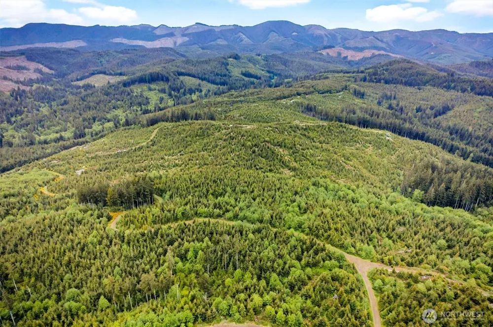 5 Parpala Road #5 Naselle, WA 98638