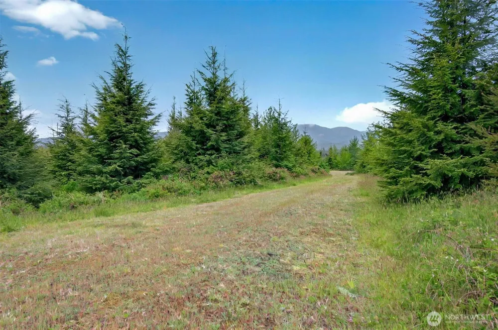 5 Parpala Road #5 Naselle, WA 98638