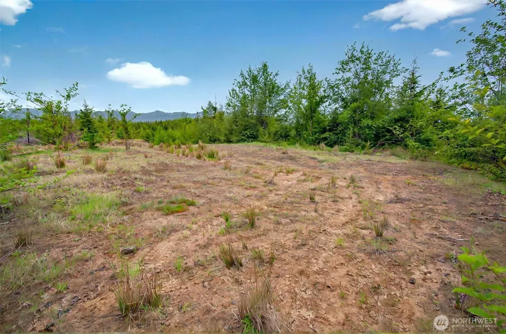5 Parpala Road #5 Naselle, WA 98638
