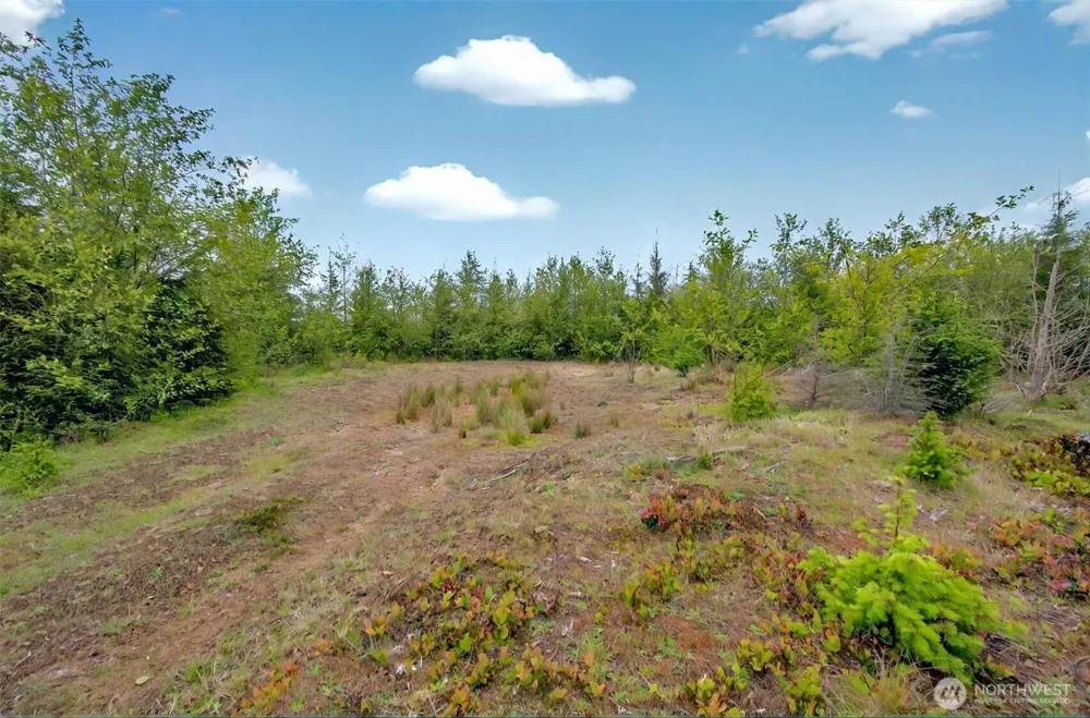 5 Parpala Road #5 Naselle, WA 98638