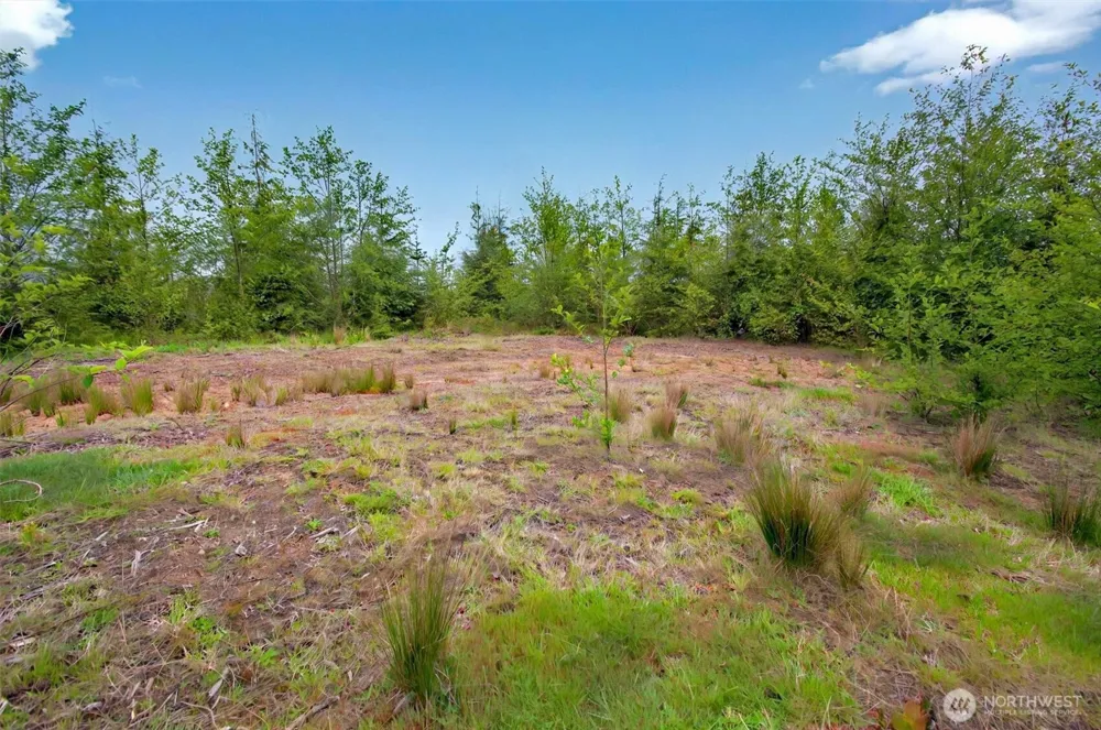 5 Parpala Road #5 Naselle, WA 98638