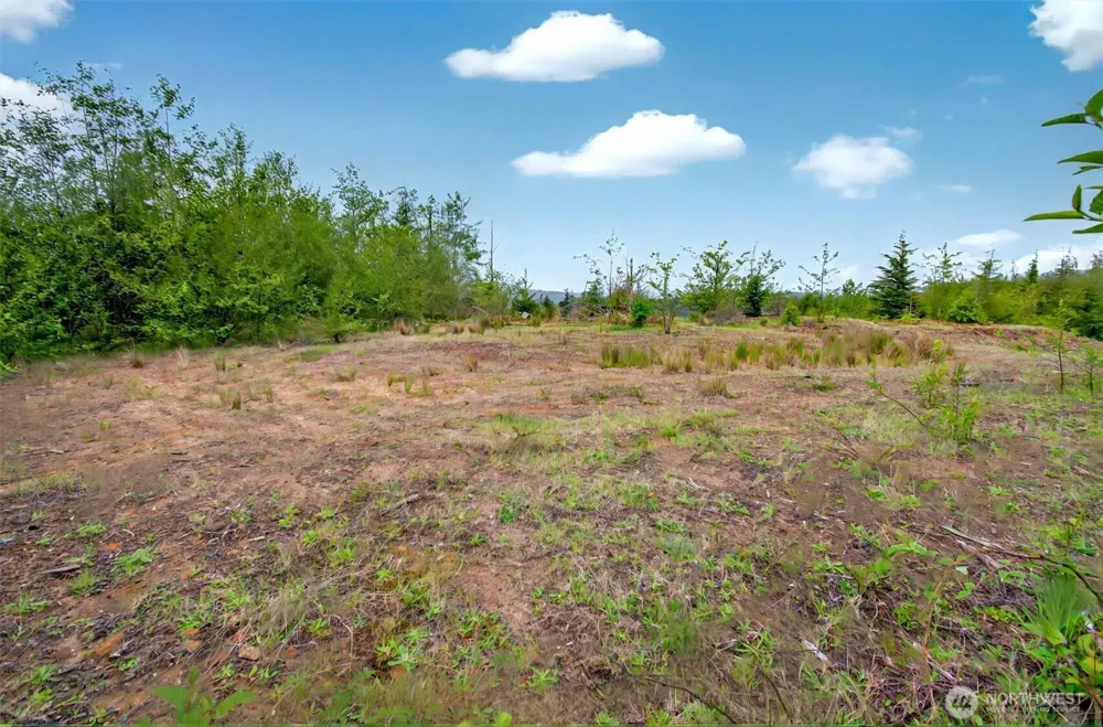 5 Parpala Road #5 Naselle, WA 98638