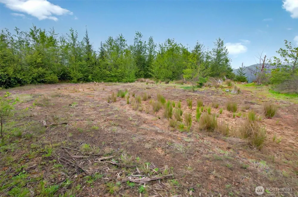 5 Parpala Road #5 Naselle, WA 98638