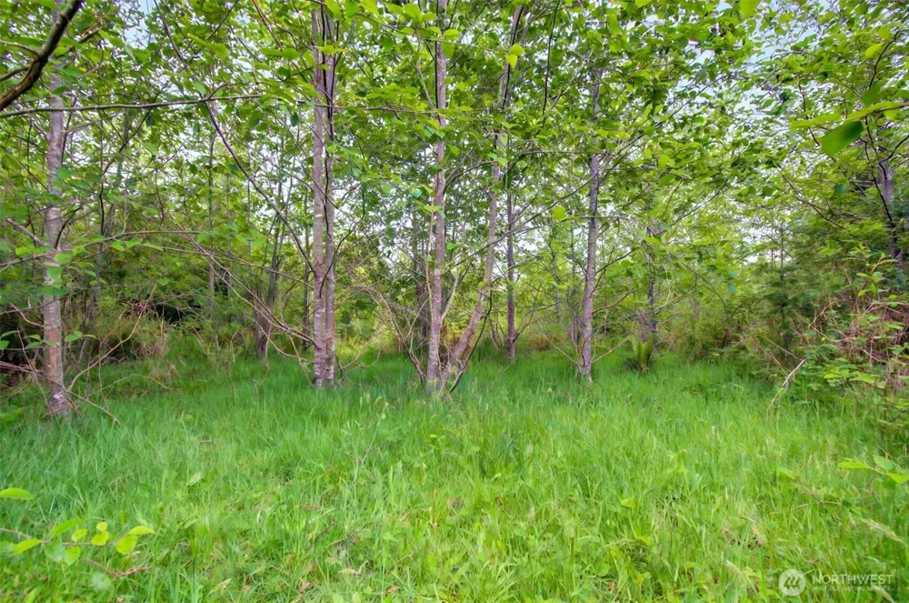 5 Parpala Road #5 Naselle, WA 98638