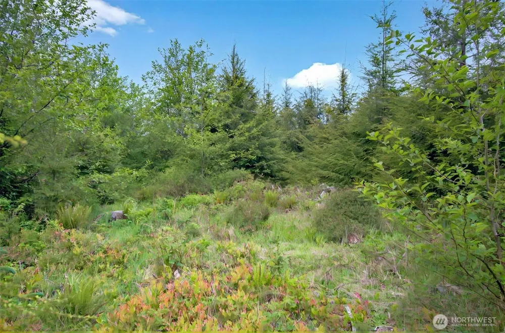 5 Parpala Road #5 Naselle, WA 98638