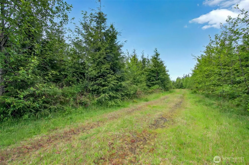 5 Parpala Road #5 Naselle, WA 98638