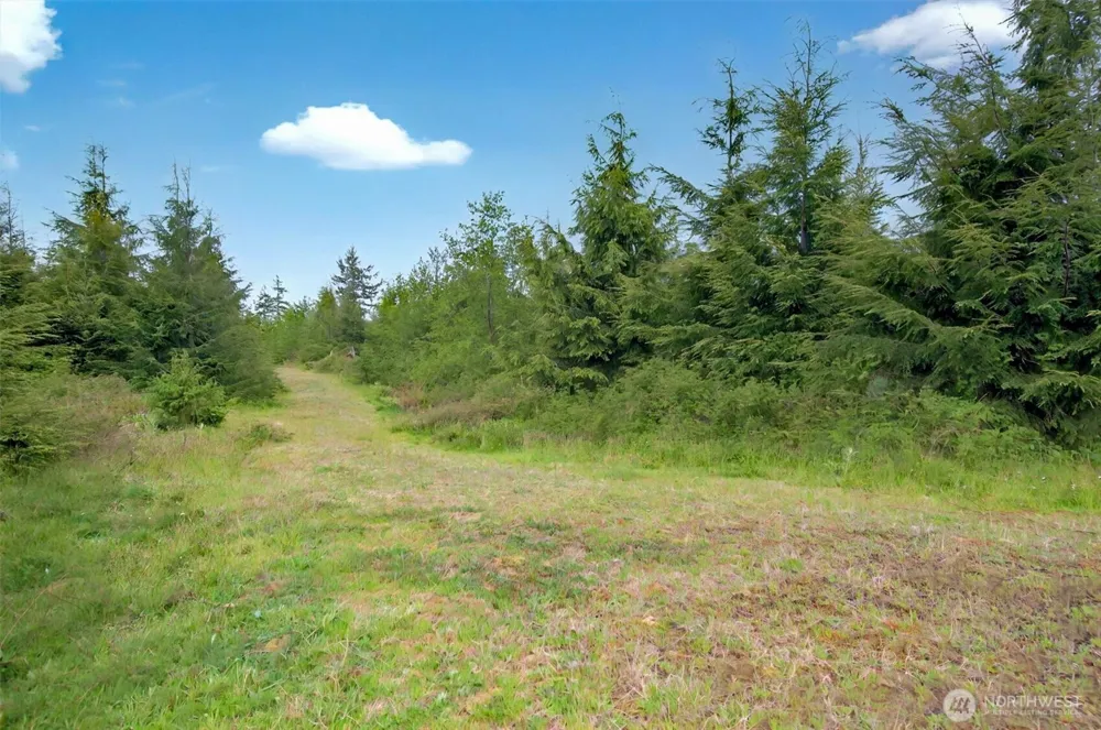 5 Parpala Road #5 Naselle, WA 98638