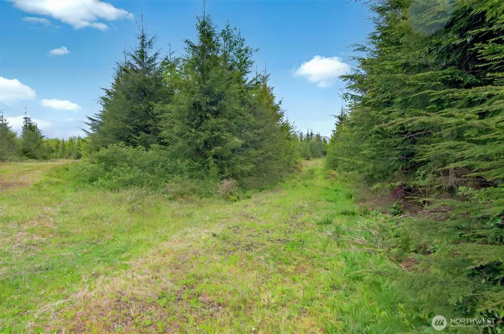 5 Parpala Road #5 Naselle, WA 98638
