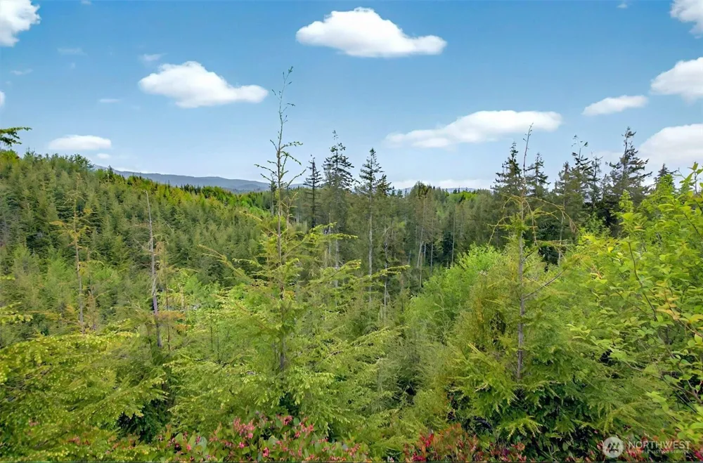 5 Parpala Road #5 Naselle, WA 98638