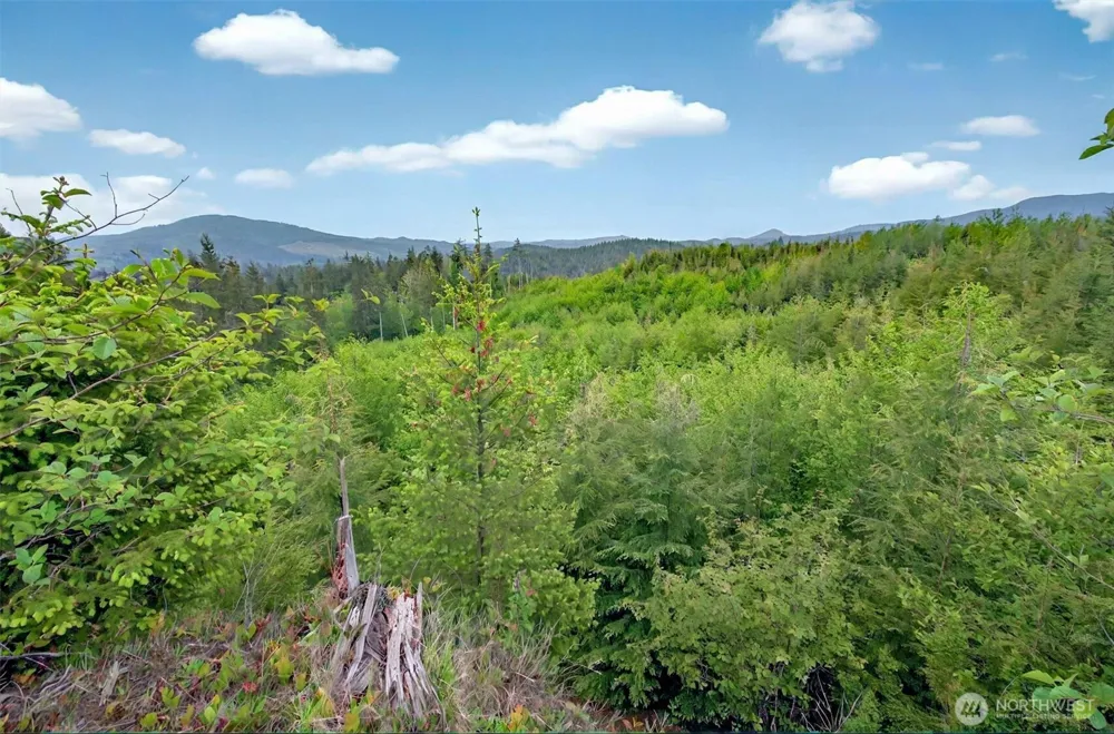 5 Parpala Road #5 Naselle, WA 98638