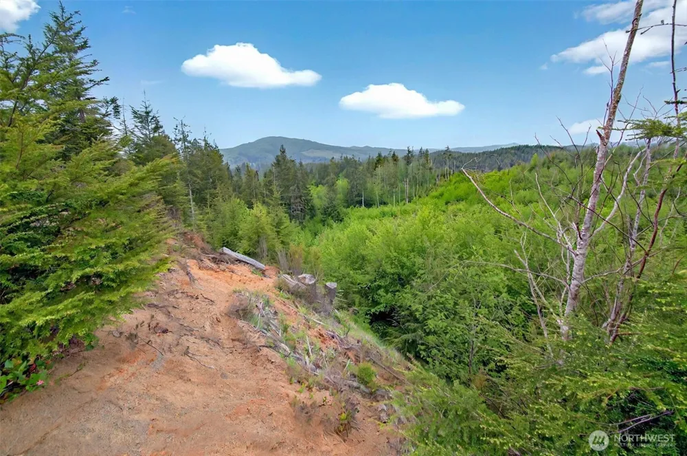5 Parpala Road #5 Naselle, WA 98638