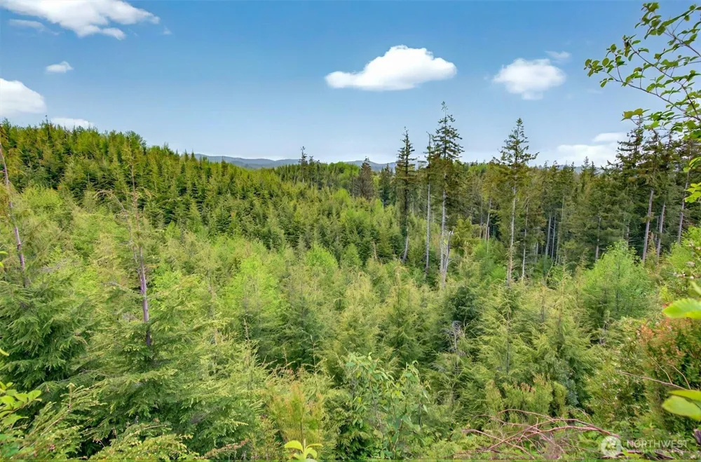 5 Parpala Road #5 Naselle, WA 98638