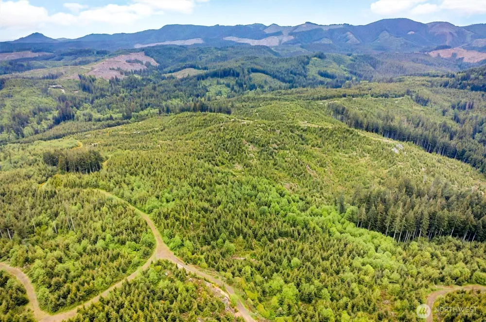 5 Parpala Road #5 Naselle, WA 98638