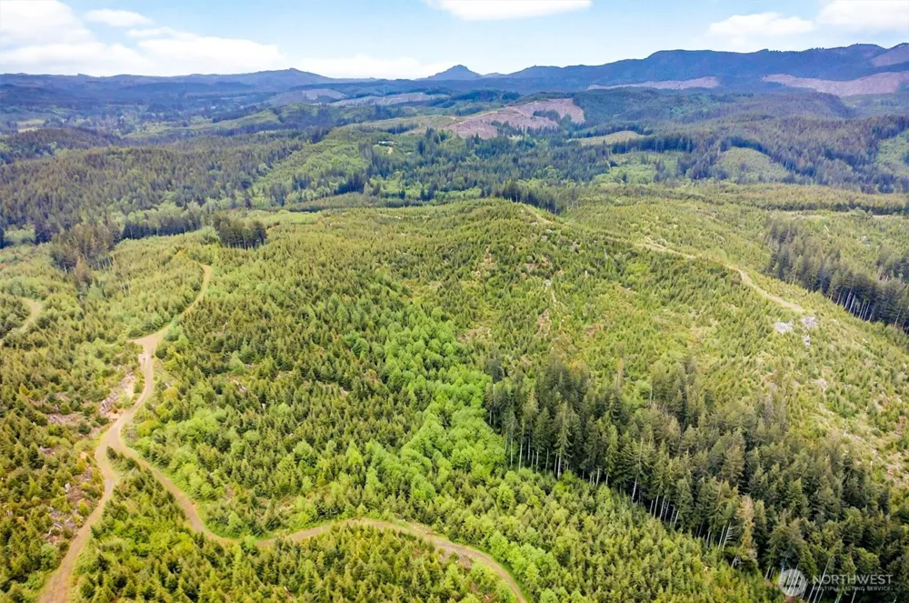 5 Parpala Road #5 Naselle, WA 98638