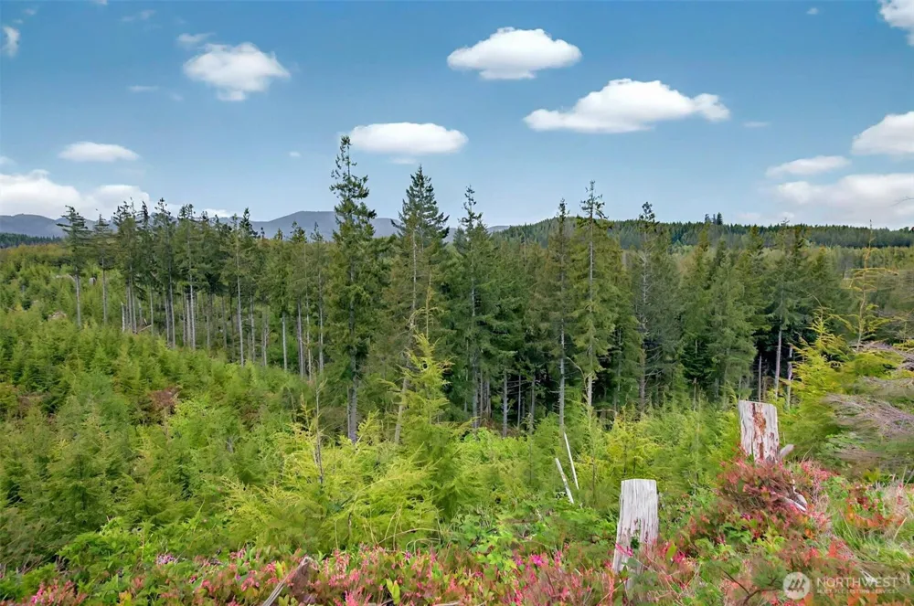 4 Parpala Road #4 Naselle, WA 98638