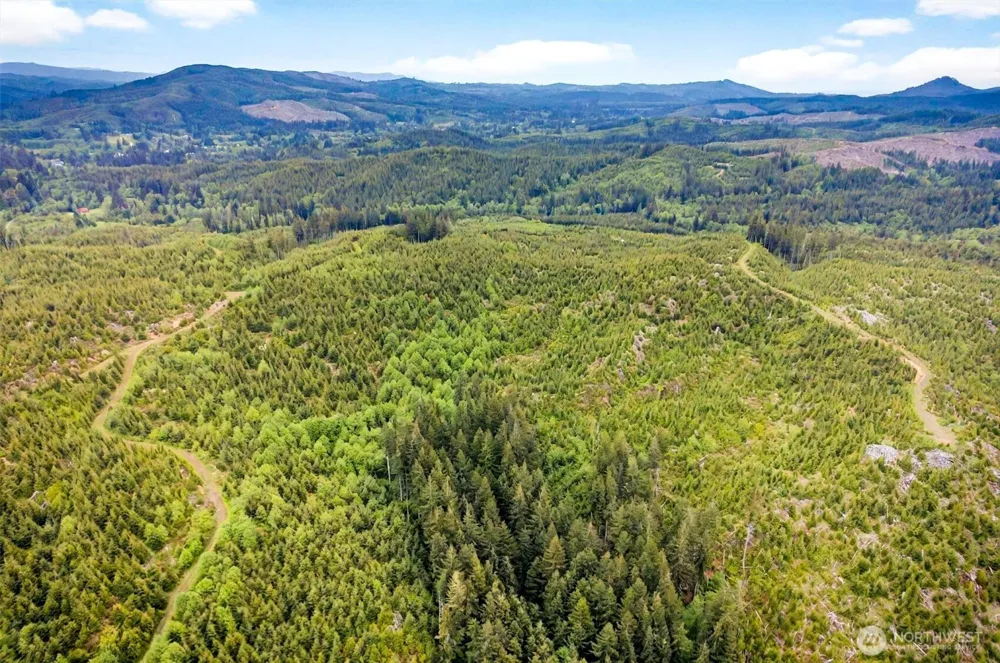 4 Parpala Road #4 Naselle, WA 98638