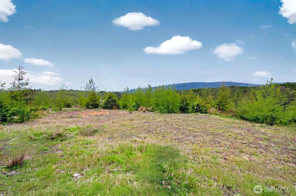 4 Parpala Road #4 Naselle, WA 98638