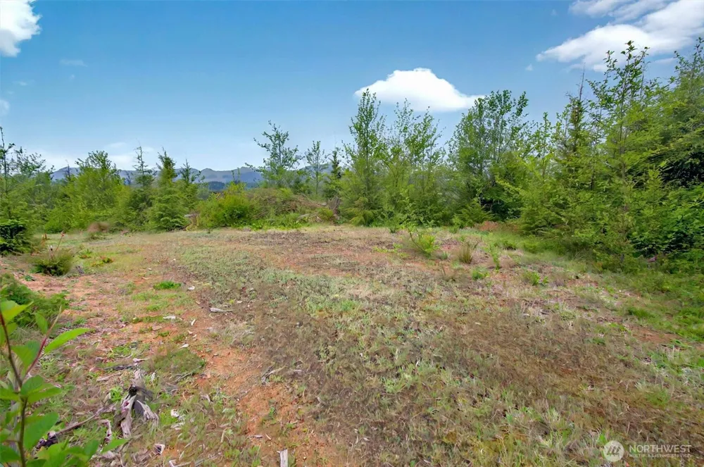 4 Parpala Road #4 Naselle, WA 98638