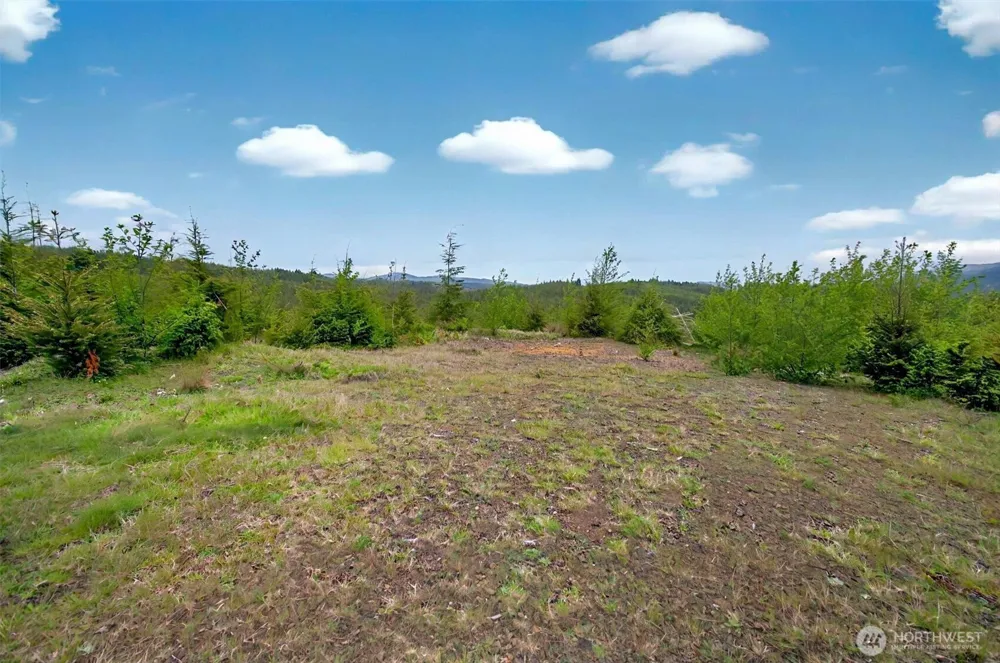 4 Parpala Road #4 Naselle, WA 98638